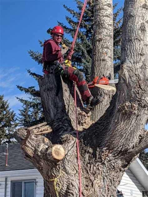 Mountain Country Tree Care