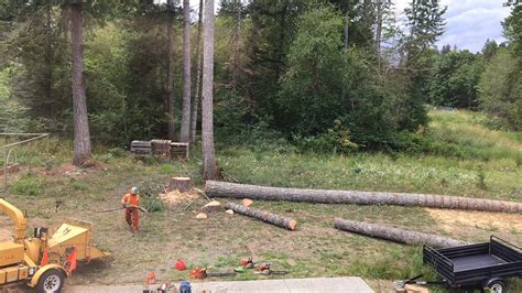 Tree Craft Arboricultural Services