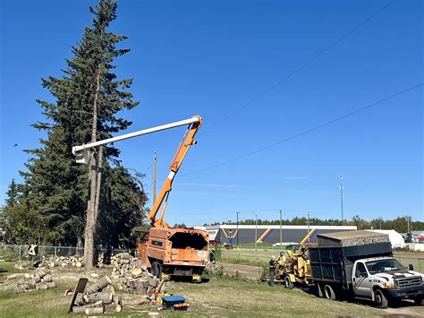 Active Tree Services Ltd