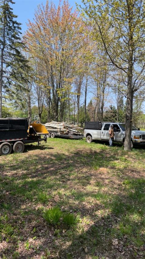 JC Tree Service