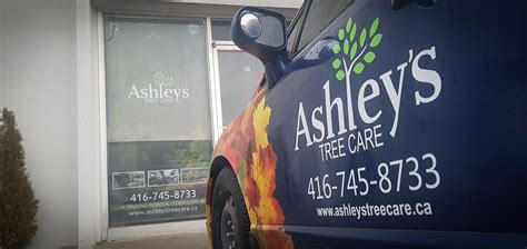 Ashleys Tree Care