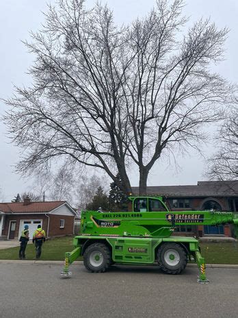 Defender Tree Service Ltd