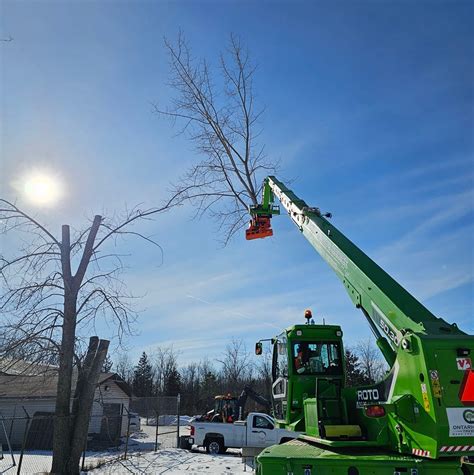 Ontario’s Choice Tree Service Inc.