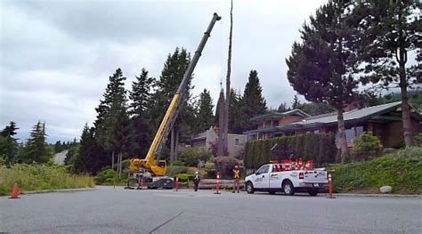 Dave’s Tree Care