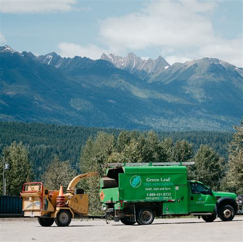 Green Leaf Tree Services Ltd
