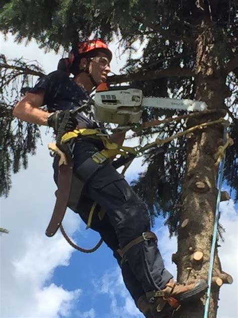 Capella Tree Service