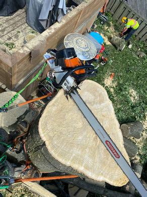 Stump Up Tree Service