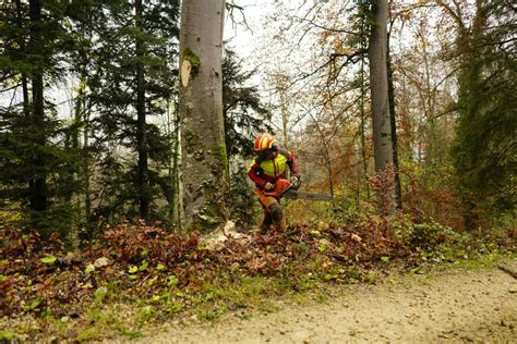 Total Tree Care