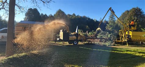 Spruce Green Tree Service