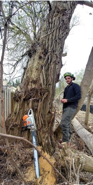 Green Leaf Tree Service