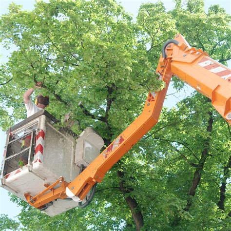 Treekeepers Kahnawake