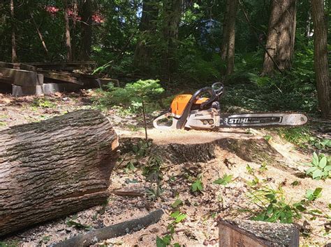 Living Legacy Tree Care
