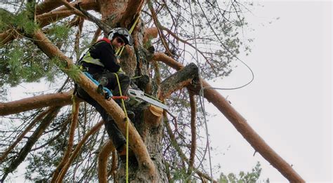 Redleaf Tree Service