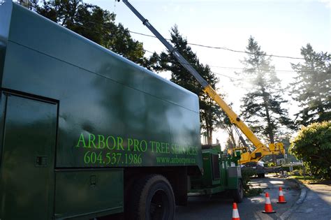 Arbor Pro Tree Services Ltd.