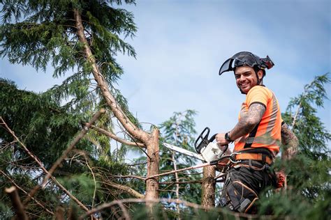 Elevation Arborists