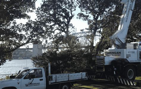 Aussie Tree Care