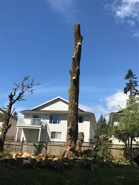 Give and Take Tree Service