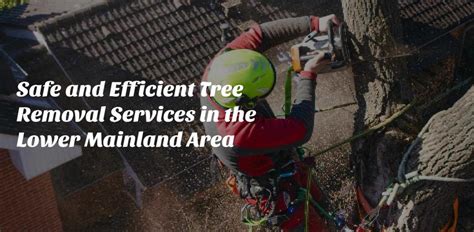 Paul Bunyan Tree Service Ltd
