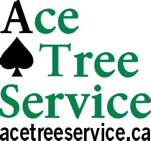 Ace Tree Service