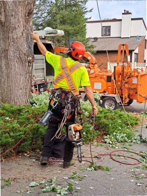 Campbell Tree Experts Inc