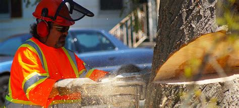 Complete Tree Service NH Inc