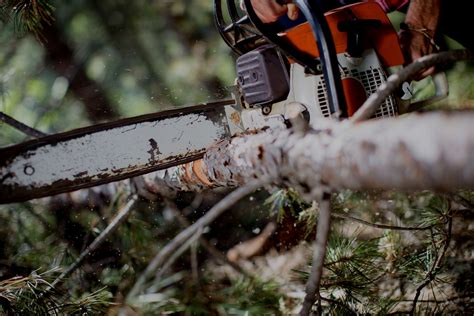 Titan’s Tree Service