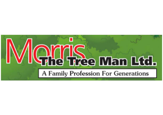 Morris the Tree Man