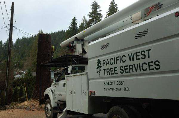 Pacific West Tree Services