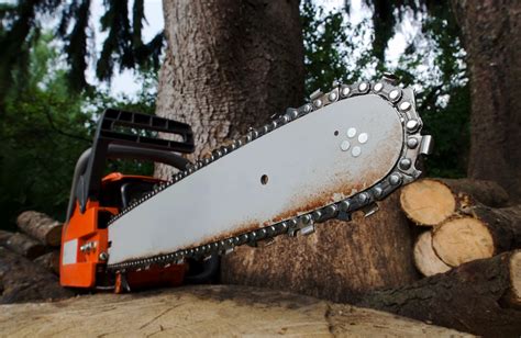 Valley Tree Solutions