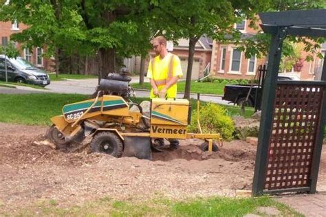 Alltree Services inc.