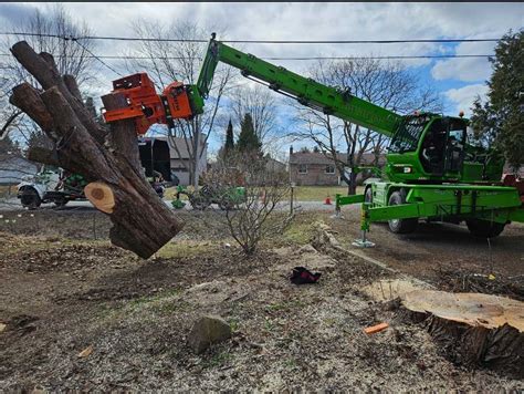 Green Thumb Tree Specialists