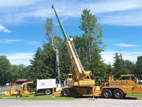 Dagenais Tree Service Ltd