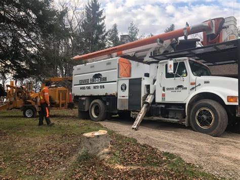 Hanet Tree Service