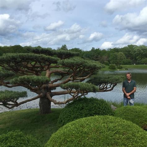Skratt’s Tree Service Inc