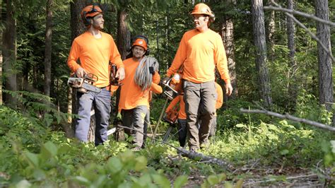 Clean Cuts Tree Service Ltd.