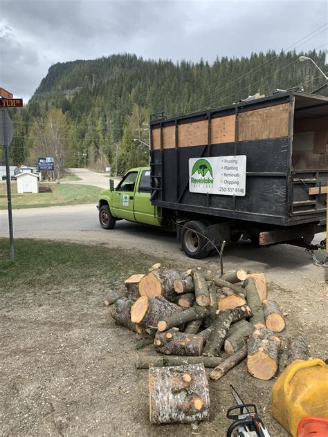 Revelstoke Tree Care