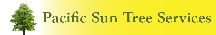 Pacific Sun Tree Services