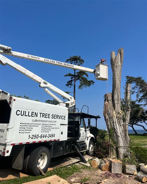 Cullen Tree Service
