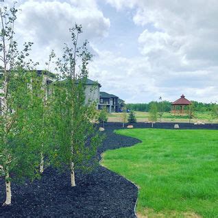 Arborscapes Tree and Landscapes Services Ltd