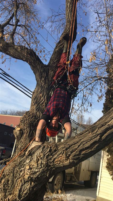 Arbour Crest Tree Services Ltd