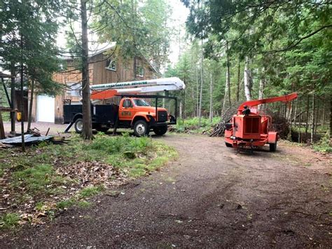 Custom Tree Service