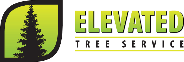 Elevated Tree Service