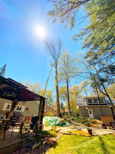 Fawcett Tree Removal Ltd