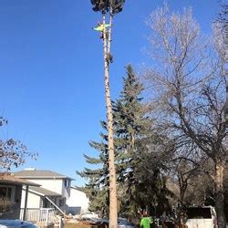 Capital City Tree Service