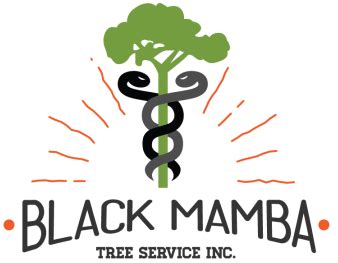 Black Mamba Tree Services