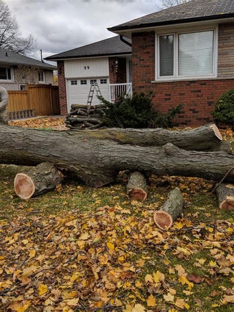 Amazing Tree Service Inc
