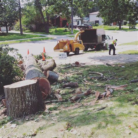 Brad’s Tree Service