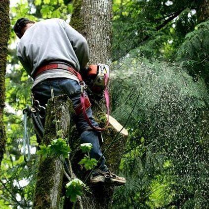 Heritage Tree Service