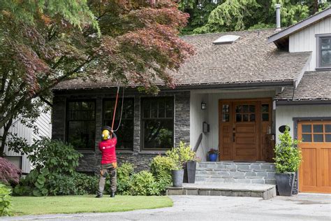 Wiens Tree Service