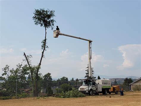 Limb Master Tree Service Ltd